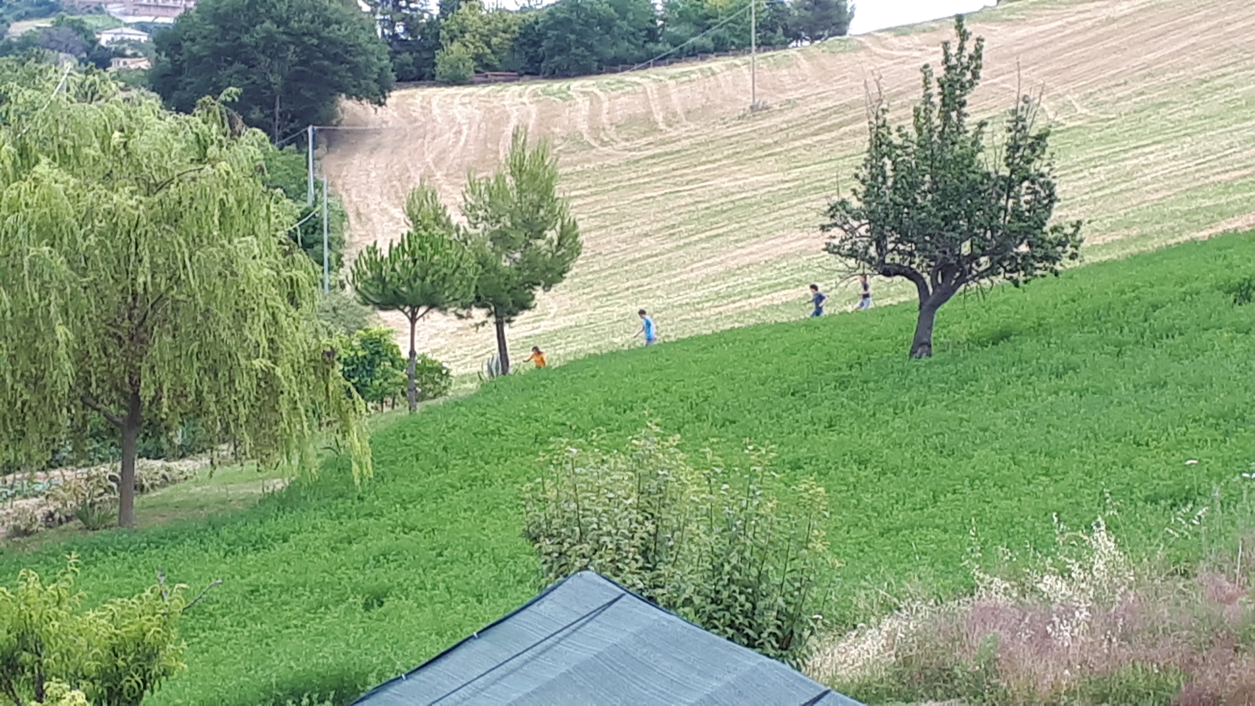 Agriturismo with sea view