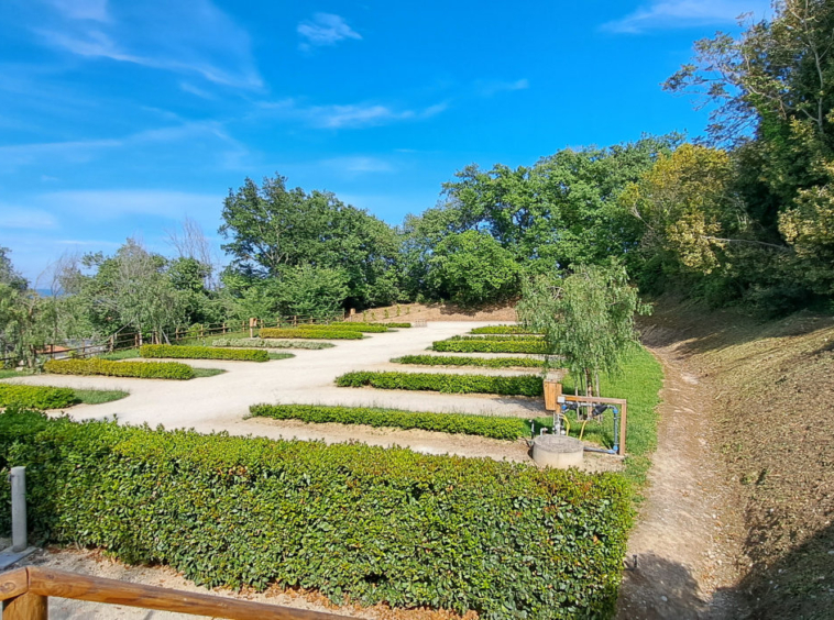 Agriturismo with sea view in Le Marche