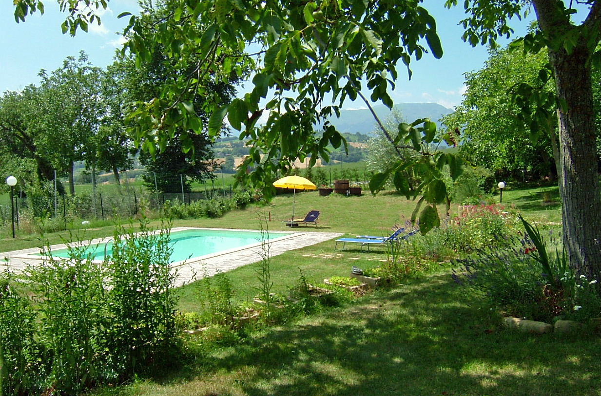 2 country houses with 4 Apartments and pool in San Ginesio