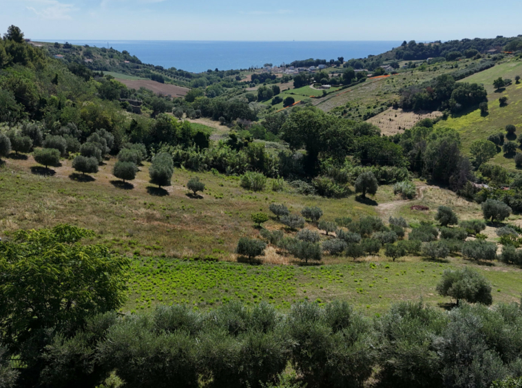 Villa with sea view in Le Marche