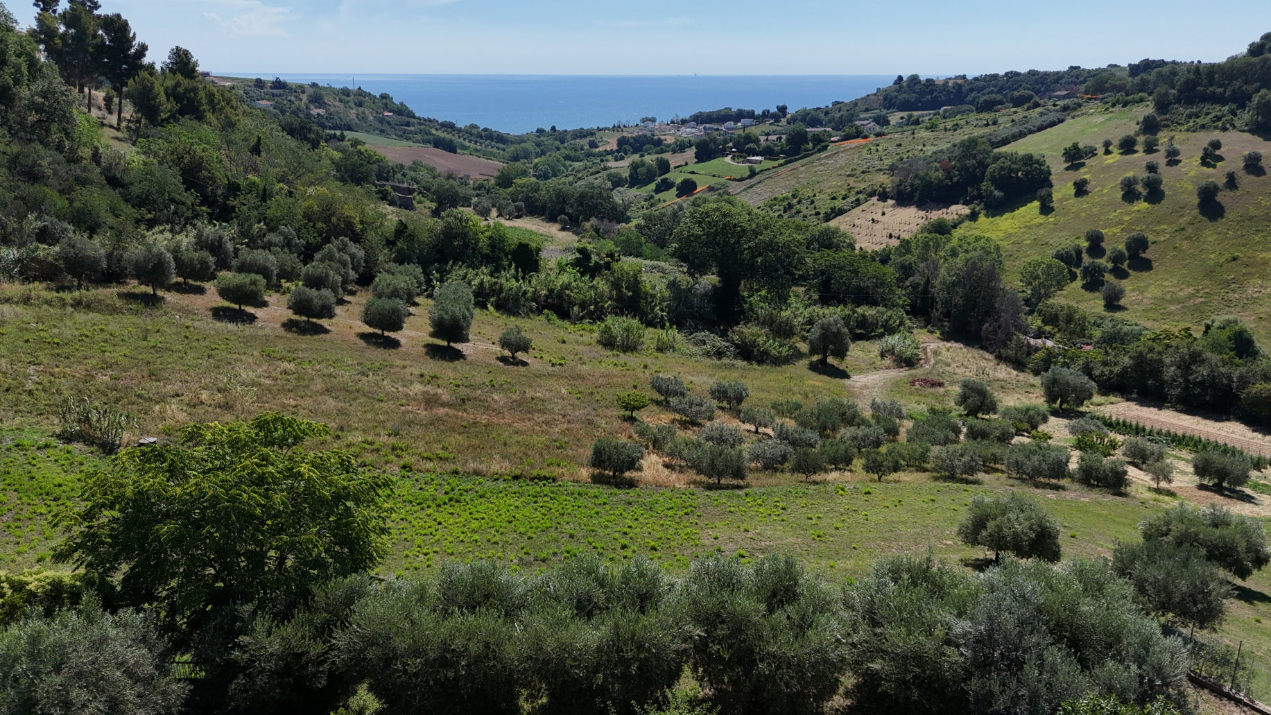 Villa with sea view in Le Marche