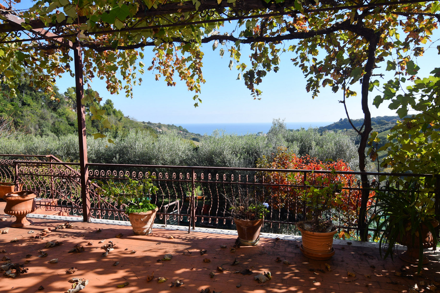 Villa with sea view in Le Marche