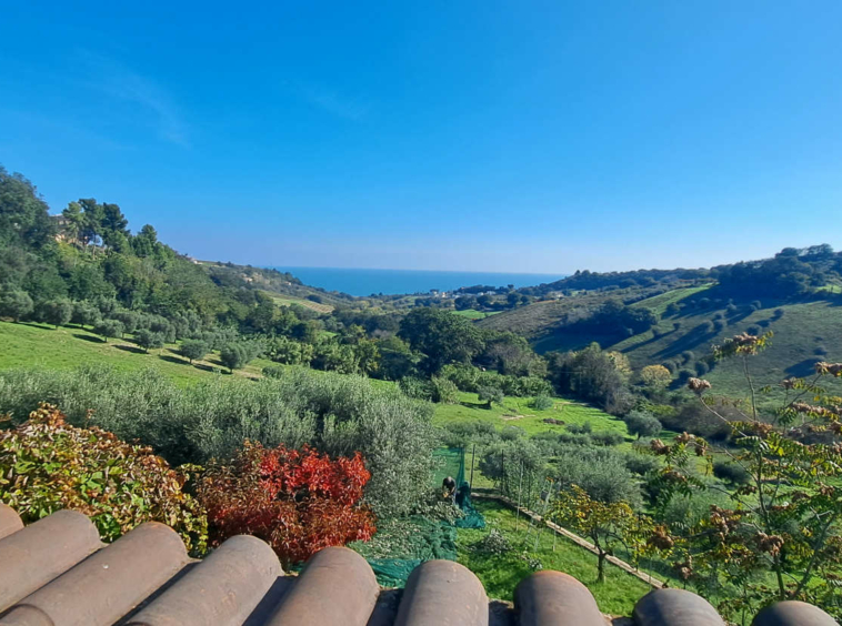 Villa with sea view in Le Marche