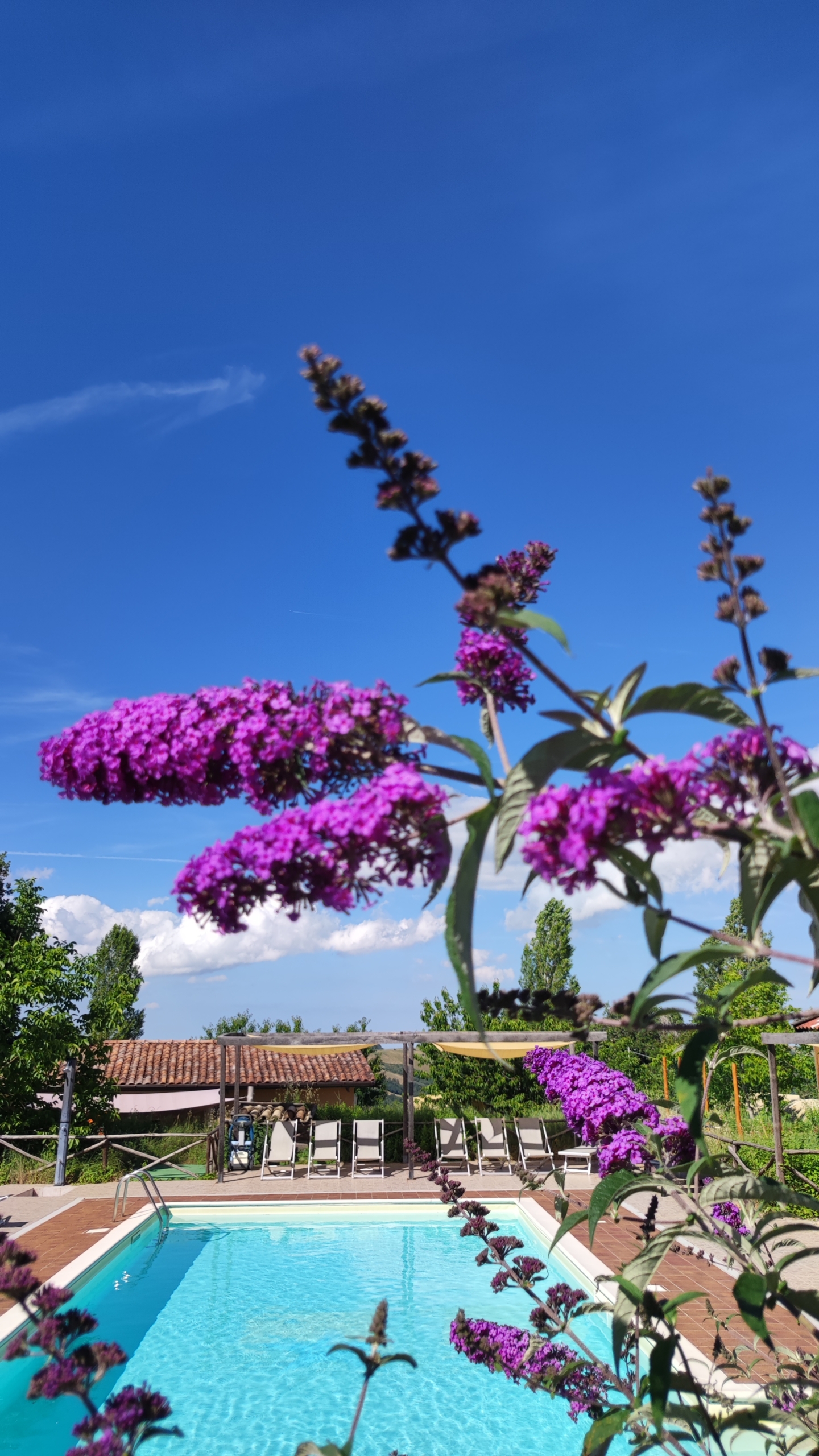 Agri camping in Le marche