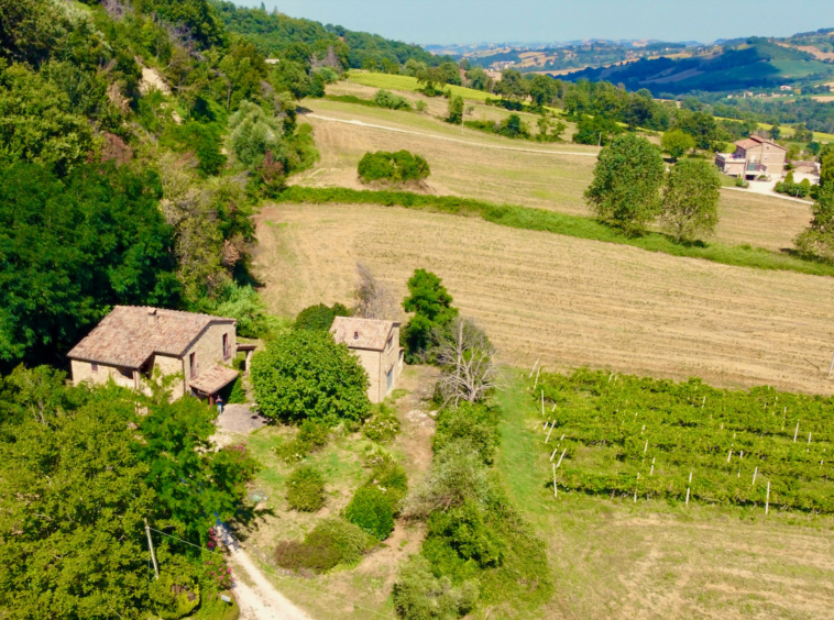 Fully Restored House in San Ginesio