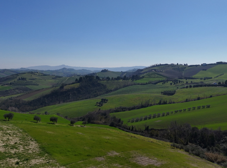 Camping in Le Marche. Offida