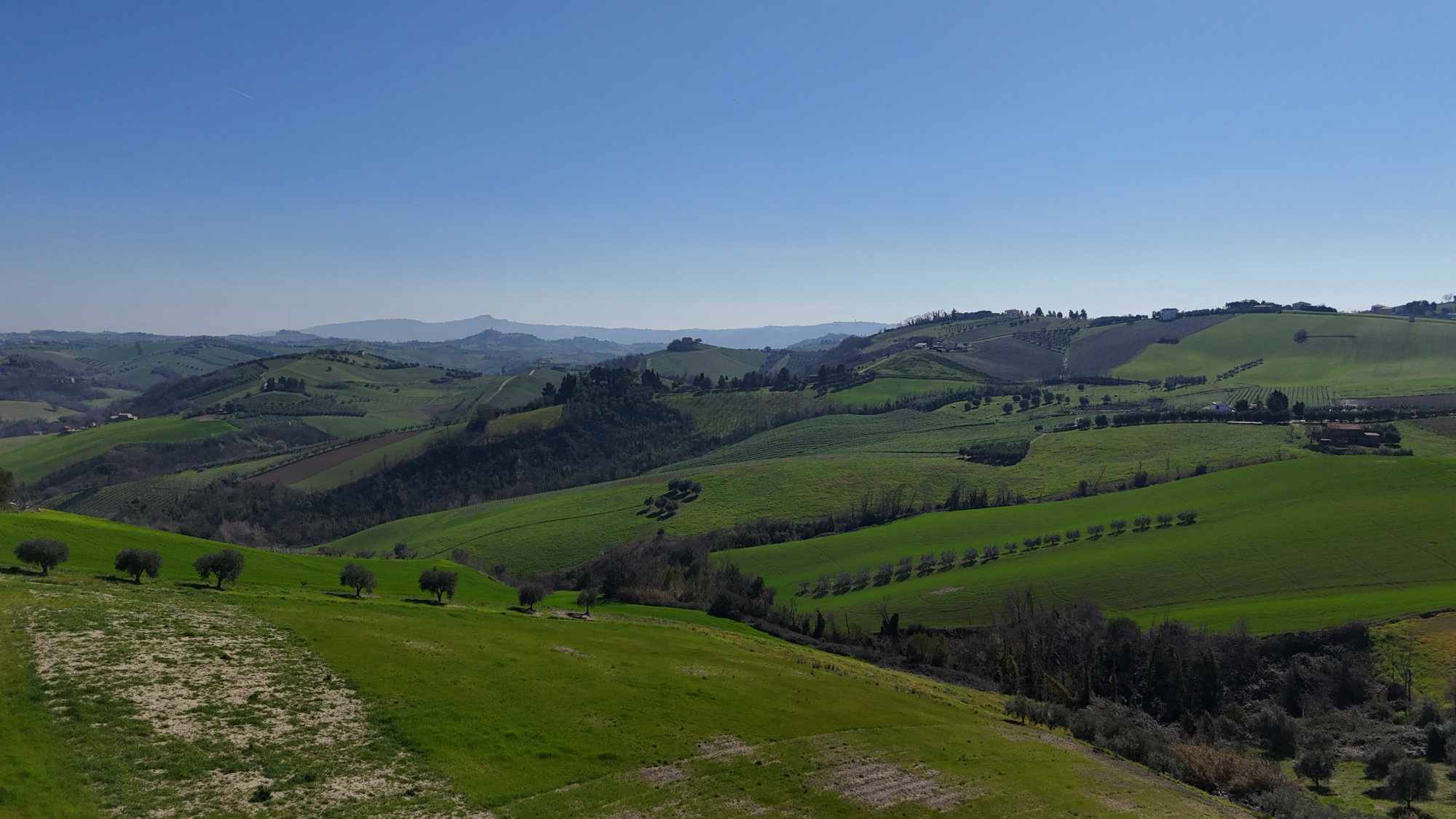 Camping in Le Marche. Offida