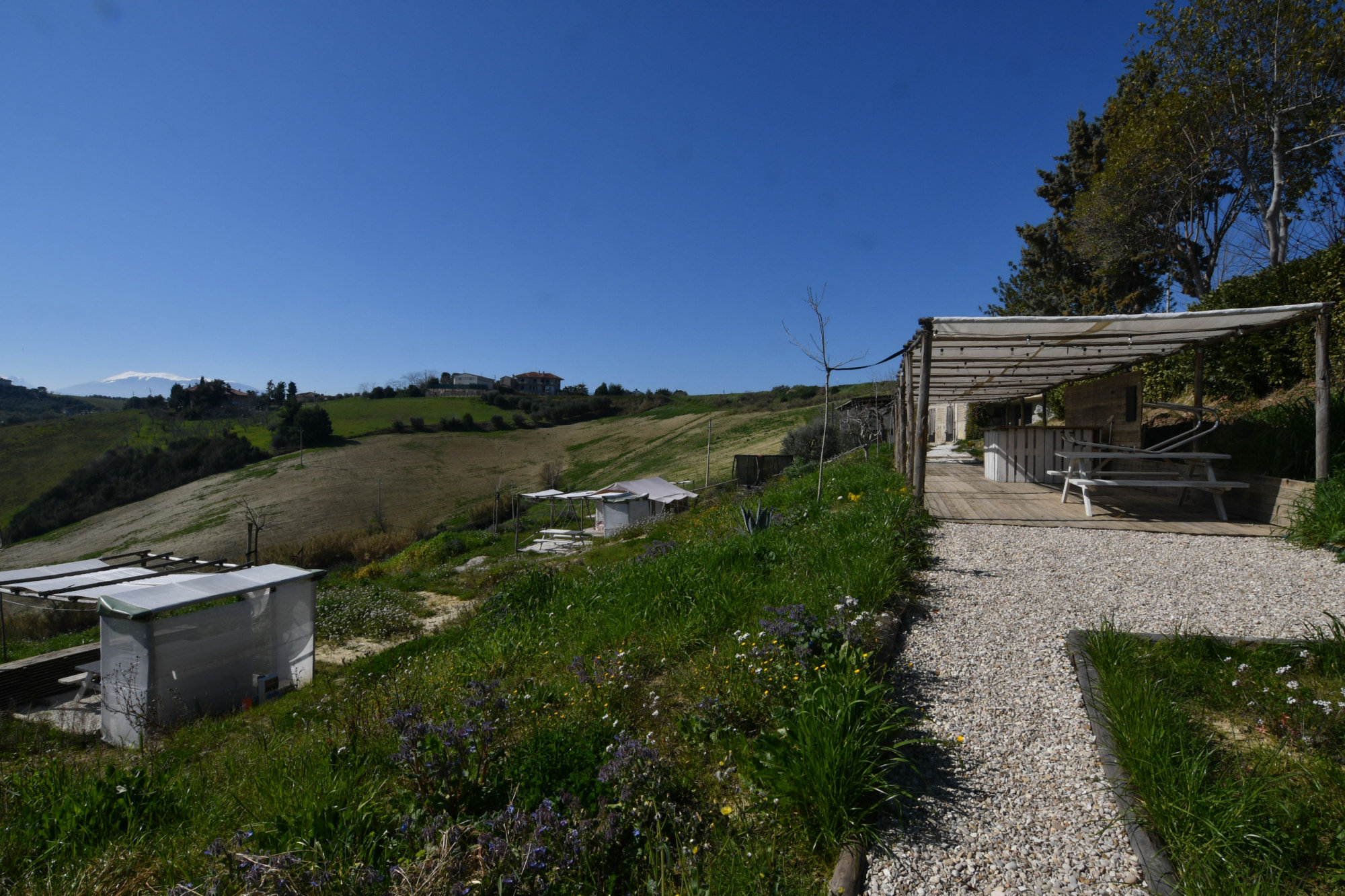 Camping in Le Marche. Offida