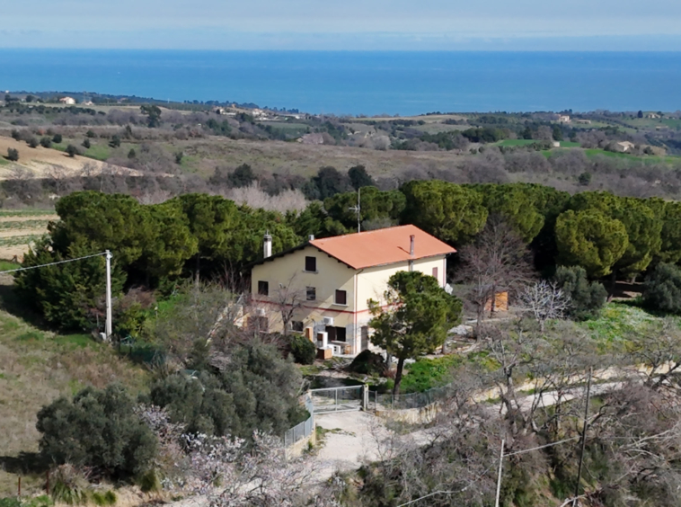 Country house with sea view in Ripatransone