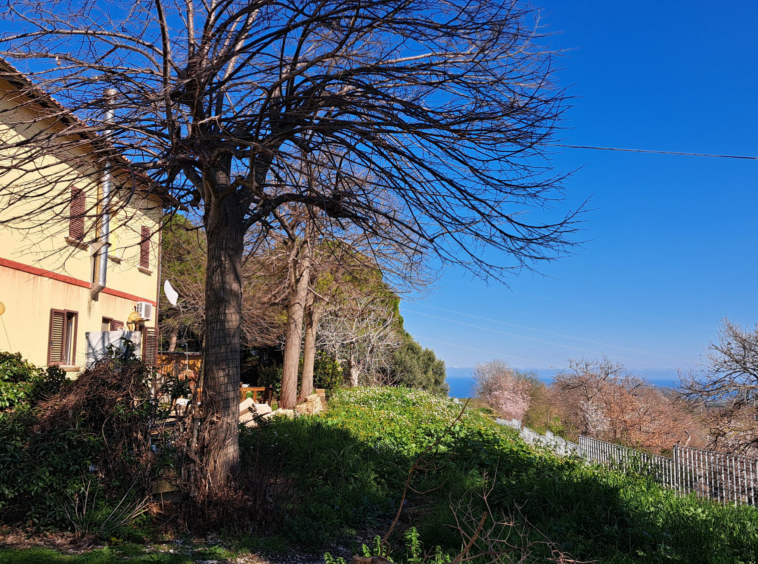 Country house with sea view in Ripatransone