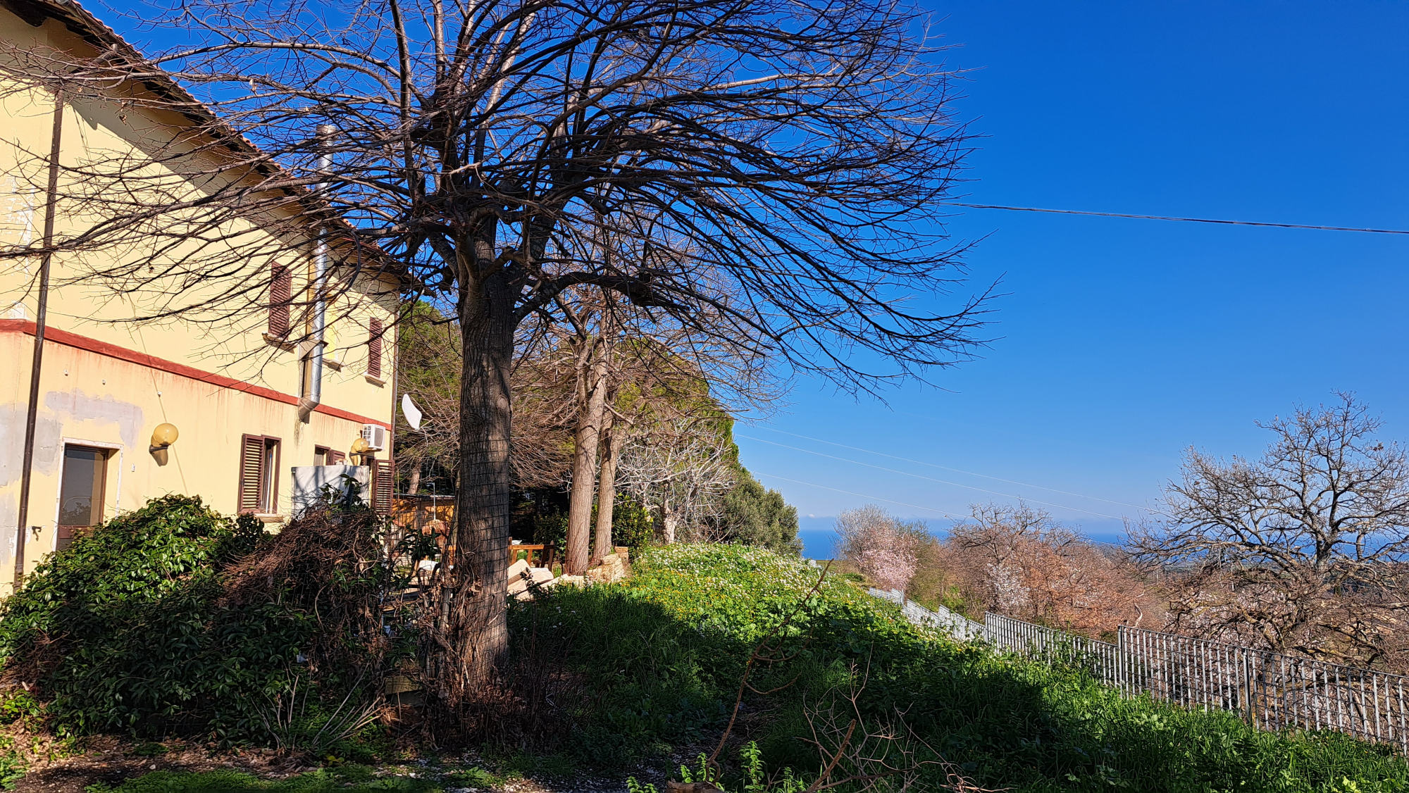 Country house with sea view in Ripatransone