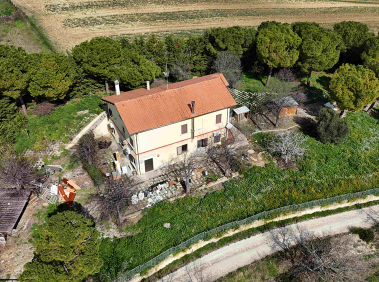 Country with sea view in Ripatransone